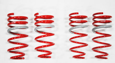 1998-2002 Accord 4Cyl DF210 Springs by Tanabe (TDF023) - Modern Automotive Performance
