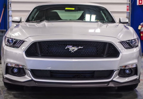 2015 Mustang GT Stock Dyno Results | 5.0L Coyote Mustang
