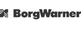 Borg Warner
