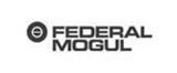 Federal Mogul