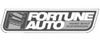 Fortune Auto Suspension