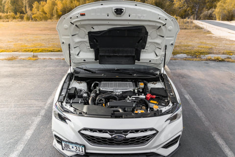 GrimmSpeed High Lift Hood Struts | 2015+ Subaru WRX / 2015-21 STI (113072)