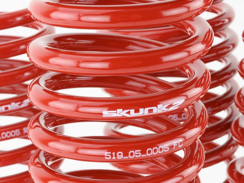Skunk2 Lowering Springs | 1992-1995 Honda Civic (519-05-1480)