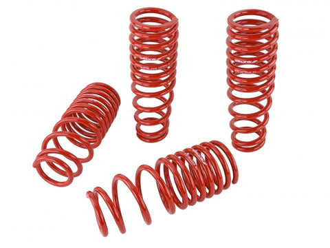 Skunk2 Lowering Springs | 1996-2000 Honda Civic (519-05-1550)