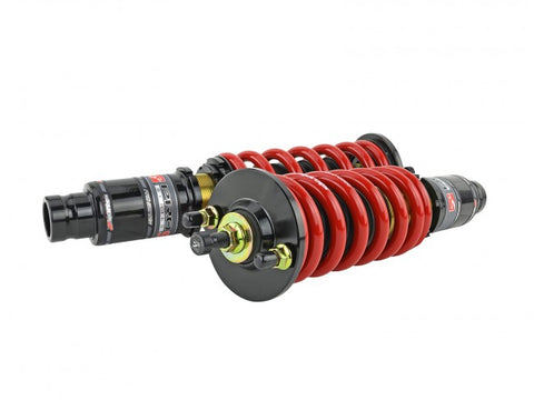 Skunk2 Pro ST Coilovers | 1992-1995 Honda Civic & 1994-2001 Acura Integra (541-05-8720)