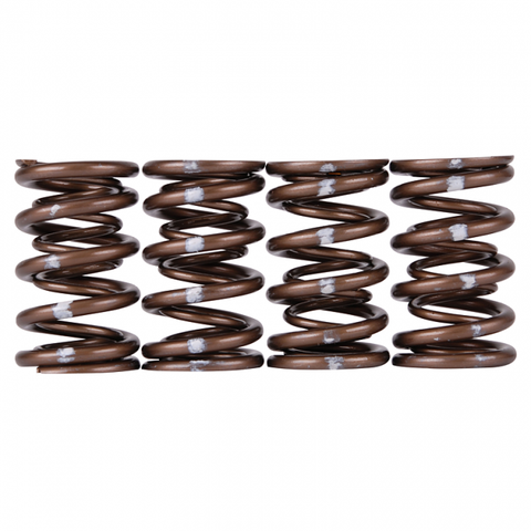 Skunk2 Pro XP Valve Spring Set | 1999-2000 Honda Civic Si, 1994-1997 Honda Del Sol VTEC, 1992-2001 Acura Integra GS-R/Type-R (311-05-7350)