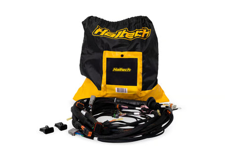 Haltech Terminated Harness | Nexus Rebel LS (HT-186500)