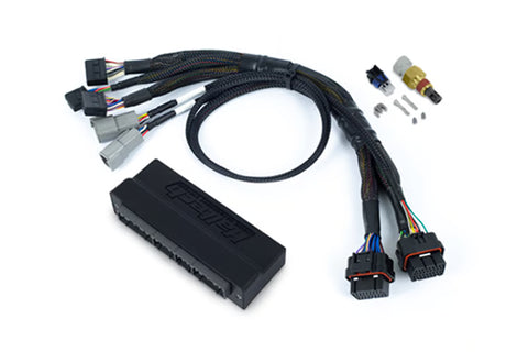 Haltech Nexus S2 Plug 'n' Play Adapter Harness Kit | 1992-1995 Honda Civic / Integra / Prelude & 1990-1995 Honda Accord (HT-212300)