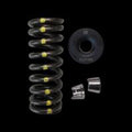 Brian Crower Valve Spring & Retainer Kit | 2004 - 2006 Scion xA & 2007 - 2012 Toyota Yaris (BC0330) - Return