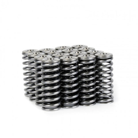 Skunk2 Alpha Valve Spring & Ti Retainer Kit | 1992-2000 Honda Civic EX & 1993-1997 Honda Del Sol Si (344-05-1350)