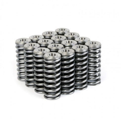 Skunk2 Alpha Valve Spring & Ti Retainer Kit | 1992-2000 Honda Civic EX & 1993-1997 Honda Del Sol Si (344-05-1350)