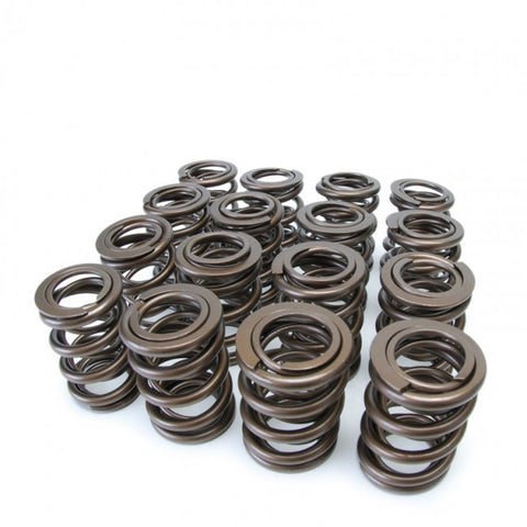 Skunk2 Alpha Valve Spring Set | 1990-2001 Acura Integra (311-05-1350)