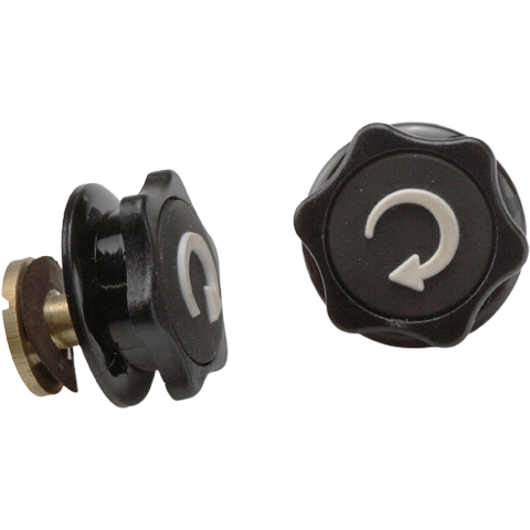 RaceQuip Pro Model Helmet Tear-Off Posts (204110RQP)