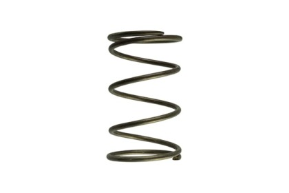 Turbosmart Gen-V WG60 14psi Brown Outer Spring | Universal (TS-0550-3092)