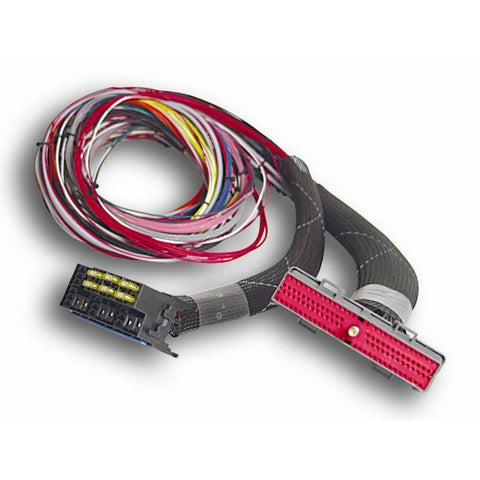 AEM K-Type Closed Tip Thermocouple Kit w/ 10' Extension Harness (30-2068)