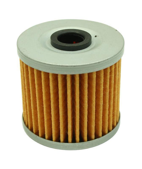 AEM Replacement Elements for AEM Fuel Filters (25-202/25-203)