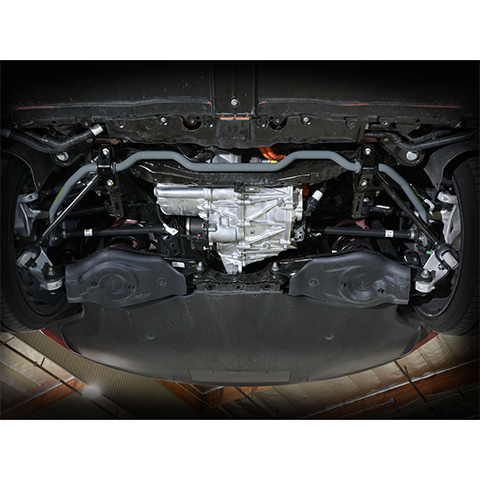 aFe Power CONTROL Sway Bar Set | 2018-2023 Tesla Model 3 (440-901001)