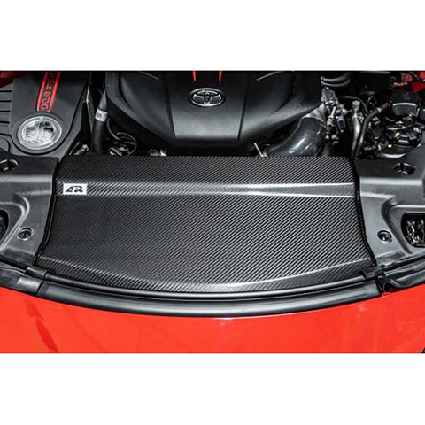 APR Performance Carbon Fiber Radiator Cooling Plate | 2020-2023 Toyota GR Supra (CF-330901)