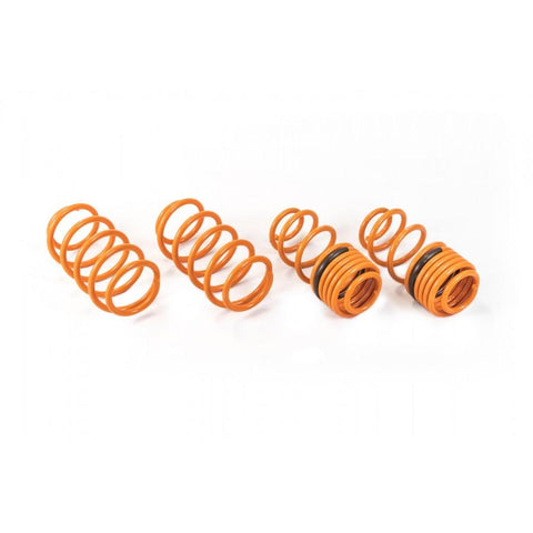 ARK GT-F Lowering Springs | 2011-2016 Honda CR-Z 1.5L (LF0603-0101)