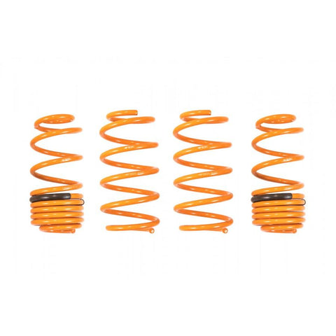 ARK GT-F Lowering Springs | 2007-2013 Honda Fit 1.5L (LF0605-0500)