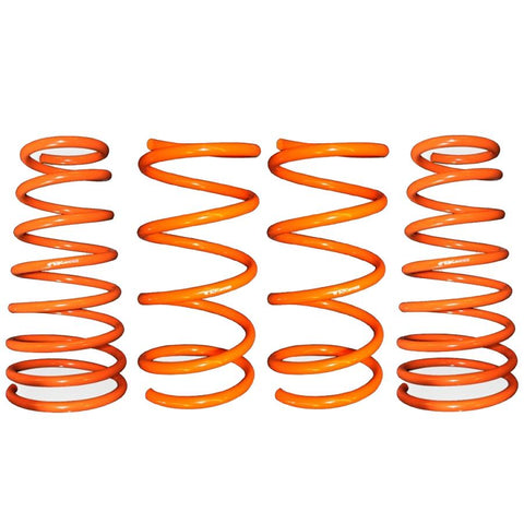 ARK GT-F Lowering Springs | 2003-2008 Hyundai Tiburon 2.0L/2.7L (LF0700-0306)
