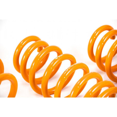 ARK GT-F Lowering Springs | 2010-2016 Hyundai Genesis Coupe 2.0T / 3.8L (LF0702-0900)