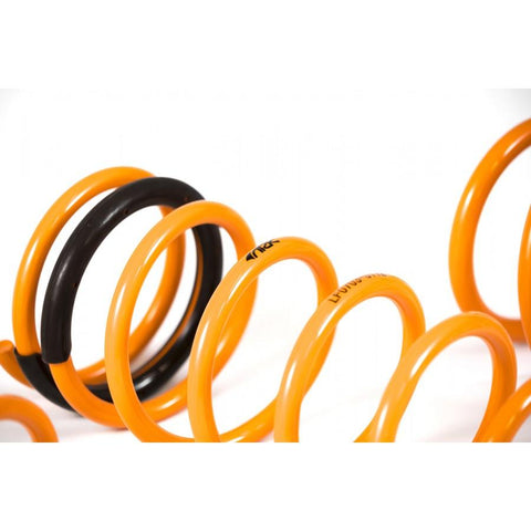 ARK GT-F Lowering Springs | 2011-2017 Hyundai Veloster 1.6L (LF0703-0112)