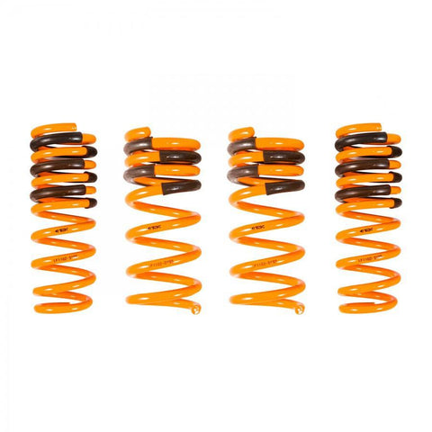 ARK Performance GT-F Lowering Springs | 2008-2013 Infiniti G37 Coupe RWD (LF1102-0103)