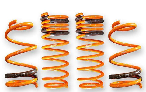 ARK GT-F Lowering Springs | 2008-2011 Mitsubishi Evolution X (LF1800-0600)