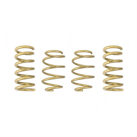 ARK GT-S Lowering Springs | 2015-2021 Ford Mustang (LS0503-0115)