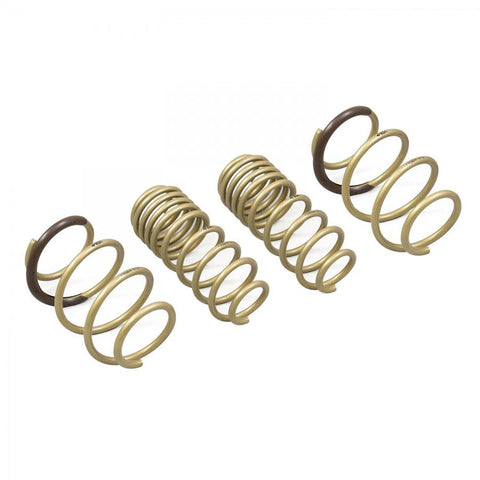 ARK GT-S Lowering Springs | 2016-2021 Honda Civic Coupe/Sedan/Hatch (LS0604-0116)