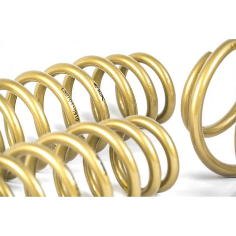 ARK GT-S Lowering Springs | 2010-2016 Hyundai Genesis Coupe 2.0T / 3.8L (LS0702-0900)