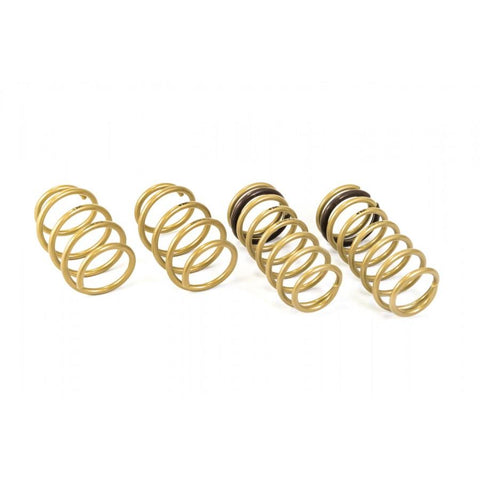 ARK GT-S Lowering Springs | 2011-2017 Hyundai Veloster 1.6L (LS0703-0112)