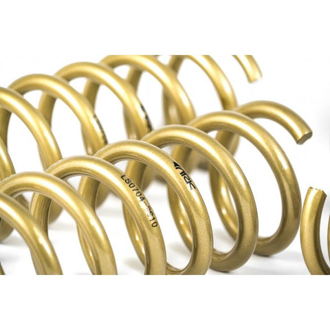 ARK GT-S Lowering Springs | 2009-2013 Hyundai Genesis Sedan (LS0704-0910)