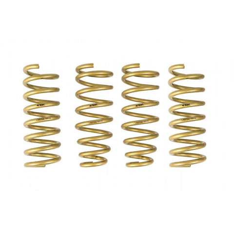 ARK GT-S Lowering Springs | 2009-2013 Hyundai Genesis Sedan (LS0704-0910)