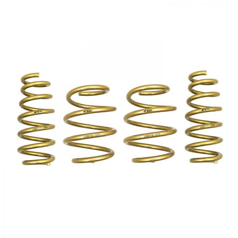 ARK Performance GT-S Lowering Springs | 2019-2021 Hyundai Veloster Turbo/N (LS0713-1900)