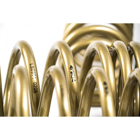 ARK GT-S Lowering Springs | 2009-2021 Nissan 370Z Z34 (LS0901-0209)