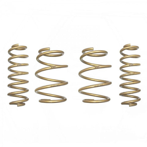 ARK GT-S Lowering Springs | 2018-2021 Toyota C-HR AX10 (LS1400-0017)