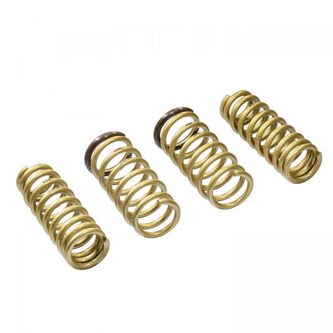 ARK GT-S Lowering Springs | 2015-2021 Lexus RC 350 RWD (LS1501-0115)