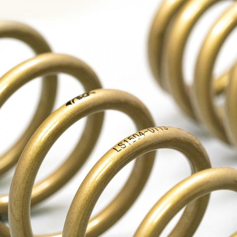 ARK GT-S Lowering Springs | 2013-2020 Lexus GS 350 RWD (LS1504-0113)