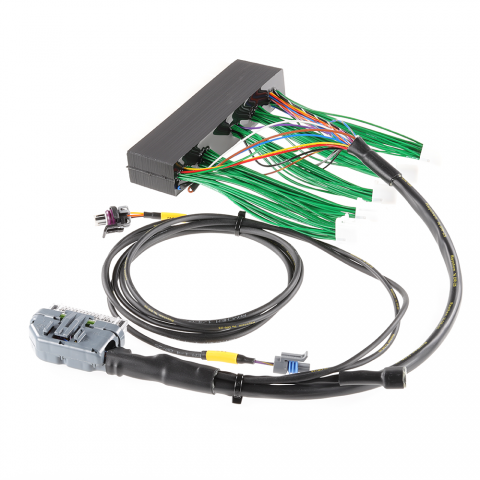 Boomslang Plug-and-Play Harness Kit for AEM EMS-4 | 2003-2005 Dodge Neon SRT-4 (BF14075)