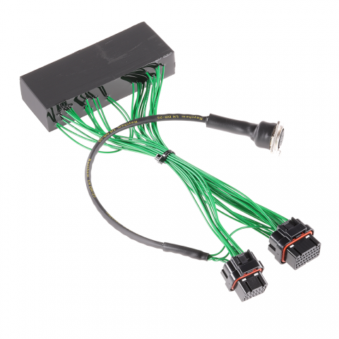 Boomslang Plug-and-Play Harness Kit for MoTeC M800 | 1996-1996