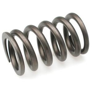 Brian Crower 4g63 Valve Springs Only - Modern Automotive Performance
