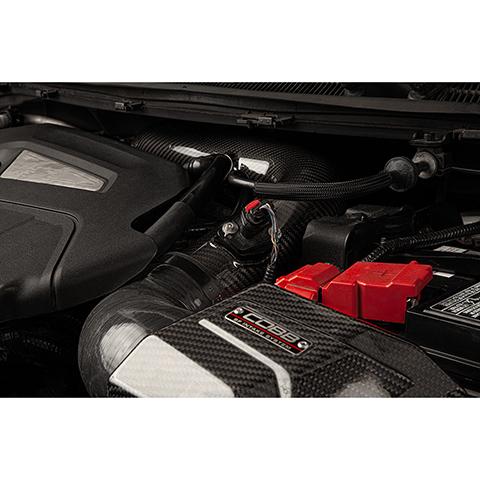 Cobb Tuning Redline Carbon Fiber Intake System | 2014-2019 Ford Fiesta ST (702120)