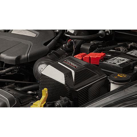 Cobb Tuning Redline Carbon Fiber Intake System | 2014-2019 Ford Fiesta ST (702120)