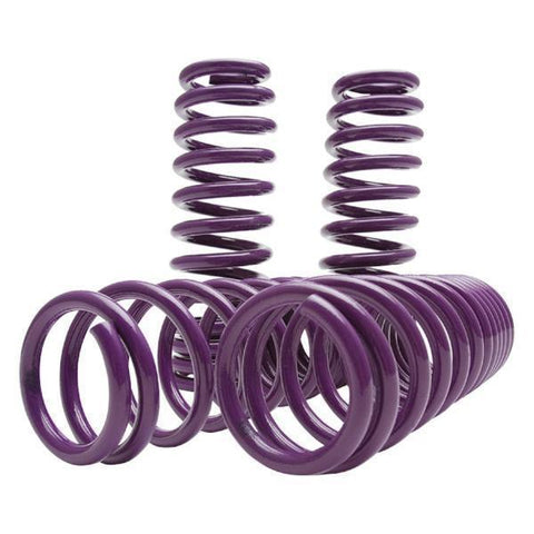 D2 Racing Lowering Springs | 11-20 Chrysler 300C / Dodge Charger RWD (D-SP-CR-01-2)