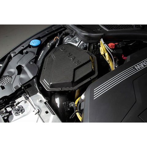 Dinan Carbon Fiber Cold Air Intake | 2020-2021 BMW M340i G20 (D760-0052)