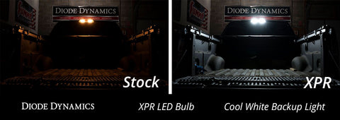 Diode Dynamics 921 XPR Cool White Backup LED Bulbs - Pair | 2022-2023 Toyota GR86/Subaru BRZ, 2009-2020 Nissan 370Z, and 2011-2021 Subaru WRX STI (DD0394P)