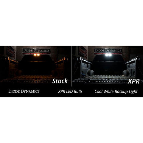 Diode Dynamics XPR LED Bulb (DD0394S)