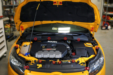 Dress Up Bolts Titanium Dress Up Bolt Engine Bay Kits | 2011-2014 Ford Focus ST (FOR-010-Ti)